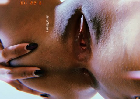 AevonVan model galleries