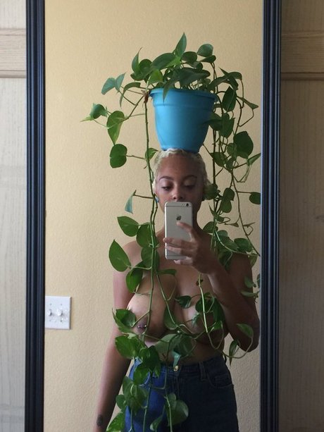 bbywolf666 xxx star pics