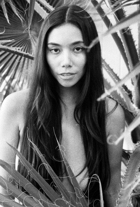 Desiree Flores star free picture