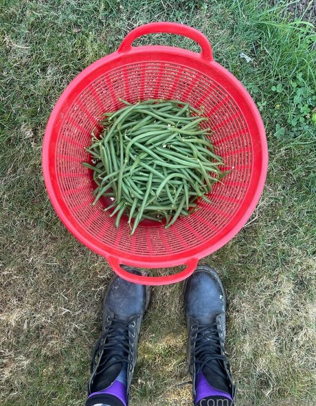 babyjas666 erotic star picture