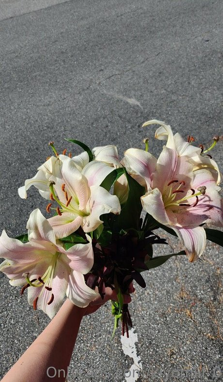 kiyomiii 0 star adult image