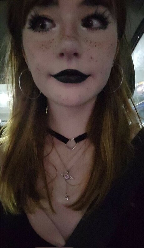 Sammynoodlesoup star free photo