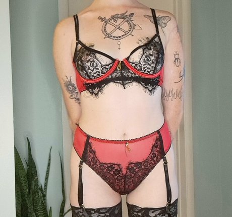 tr33ivy perfect star images