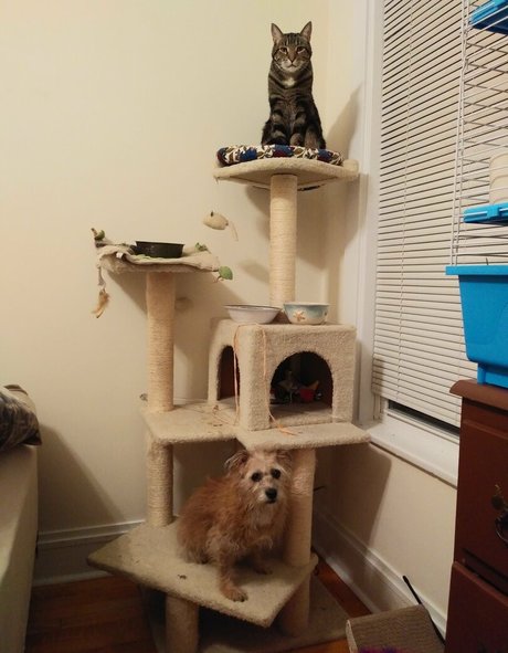 chloe loves attention star naked image