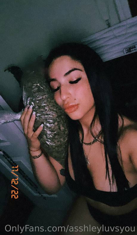badlilshego star pretty galleries