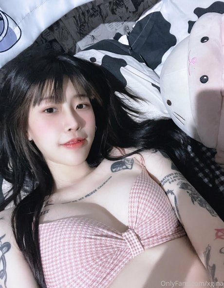 Xgina high quality model picture