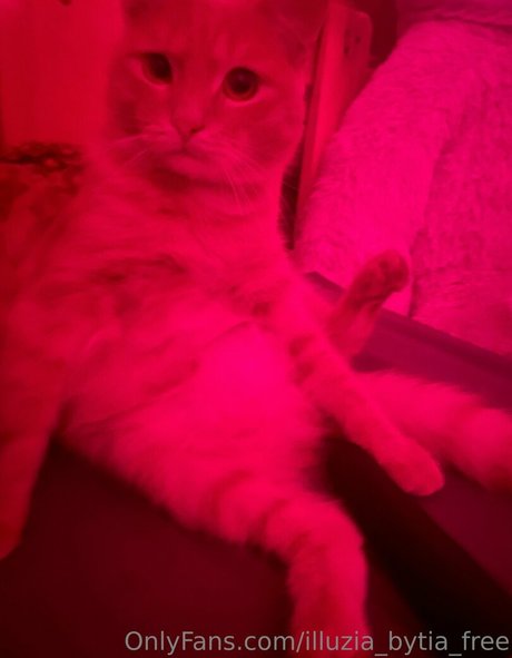 illuzia bytia free pornstar picture