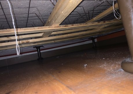 aliciaa starchild pornstar nudes photo