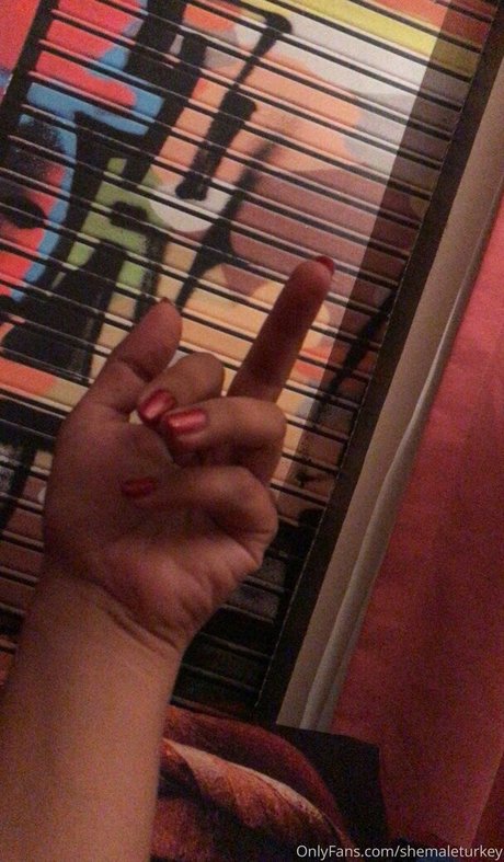 shemaleturkey star perfect photo