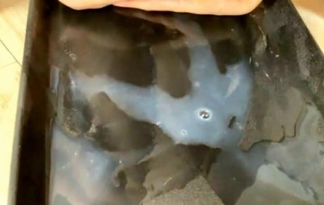 milkycatcom hd star gallery