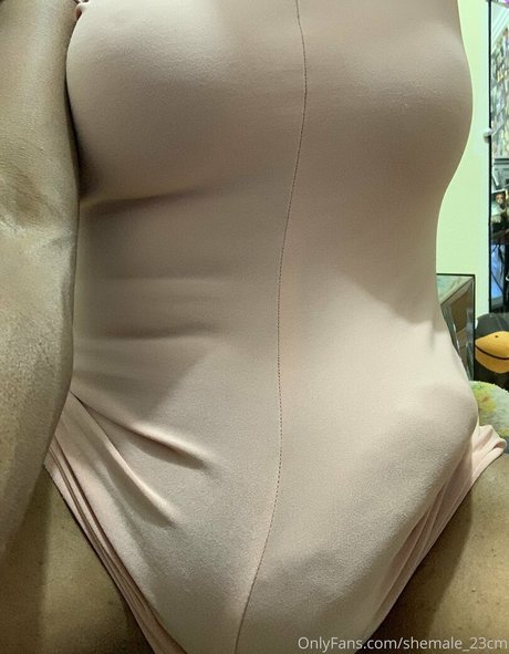 shemale 23cm thumbnail