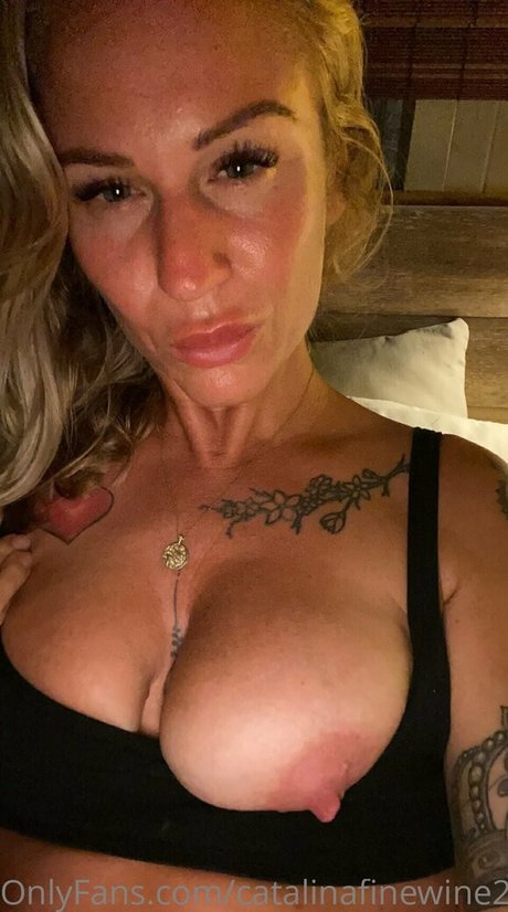 catalinafinewine2023 star free galleries