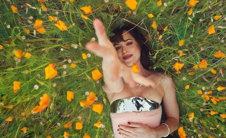 Dakota Johnson beautiful pornstar image