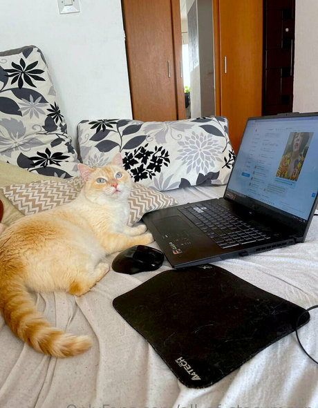 all of stacymoon star top photos