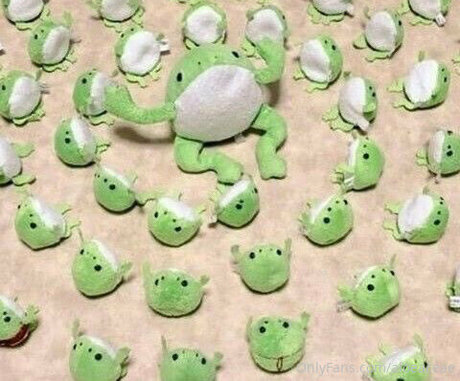 aloeaceae art model photos