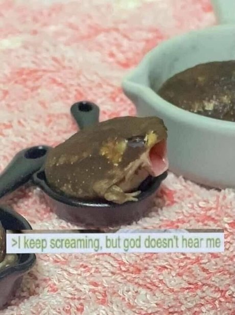 aloeaceae perfect actress photos