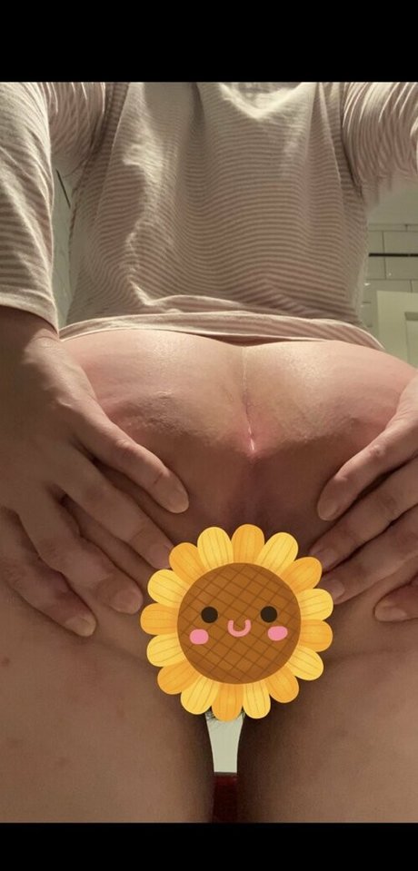 uskyldigesara star art galleries