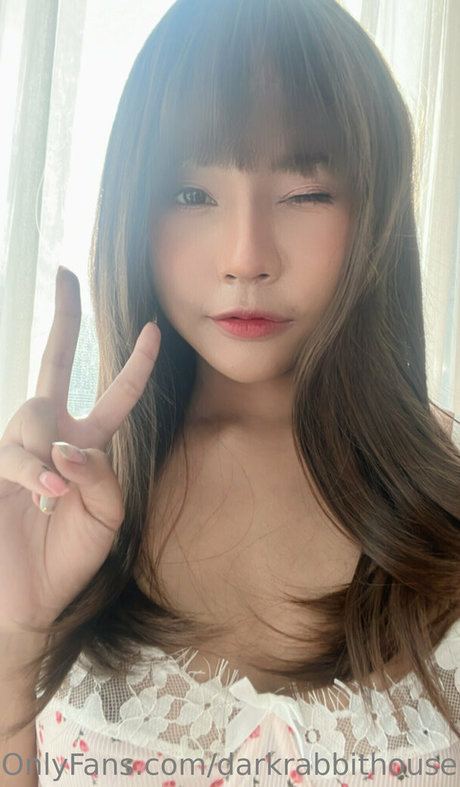 Darkrabbithouse pornstar nice img