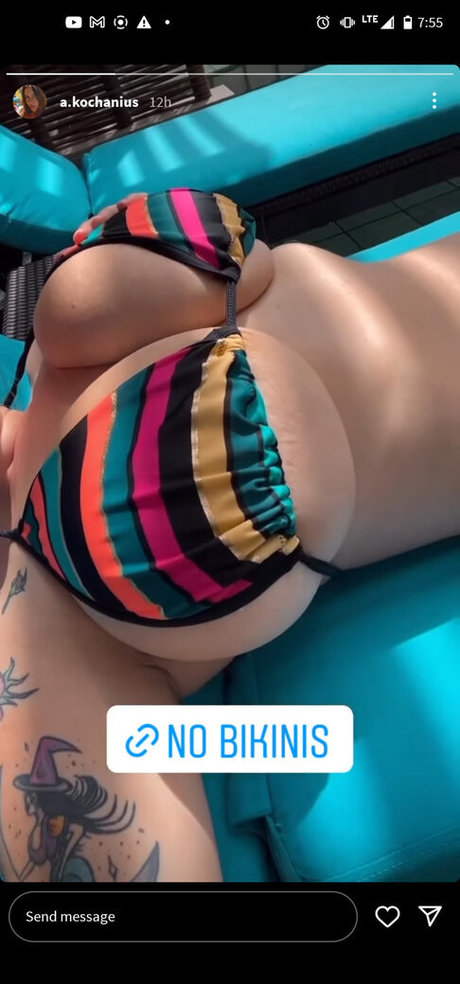 Kochanius model art galleries