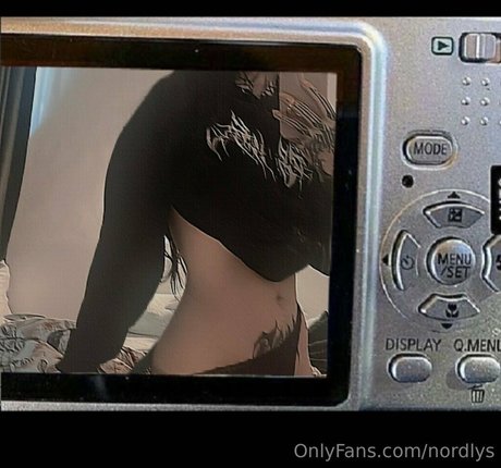 nordlys model free img