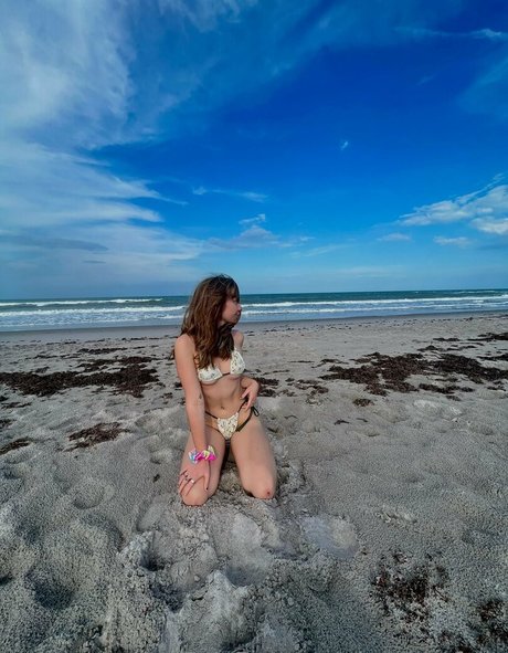 brycesgfelle free star pictures