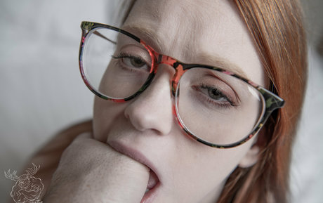 buckremington model picture