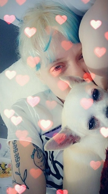 heidivfree model art img