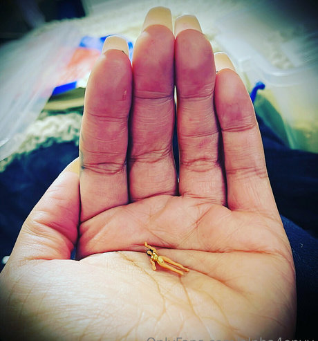 alpha4envy model hd image