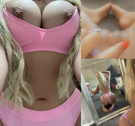 calymorgan best model archive