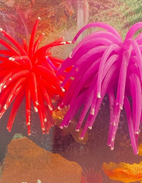 battybitxxfree model hd gallery