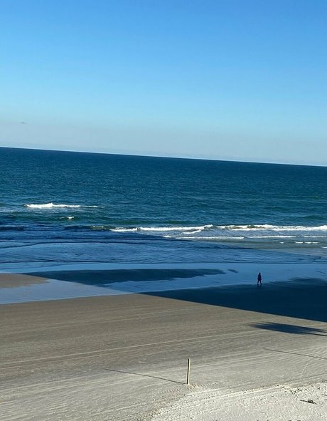 battybitxxfree porn star archive