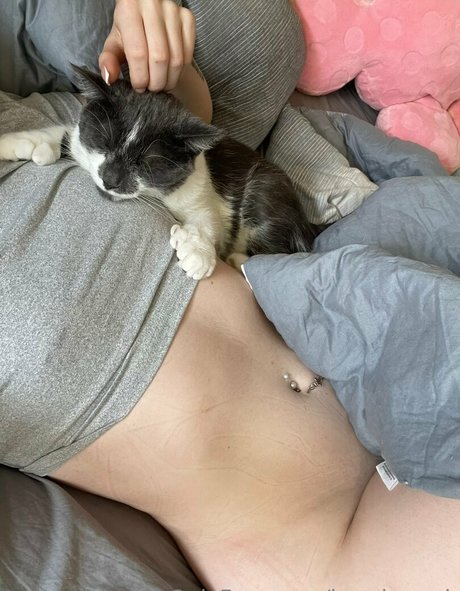 kenziemark pornstar best image