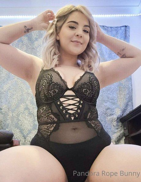 pandorabunny beautiful star archive