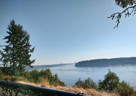 ivypearl42069 free star gallery