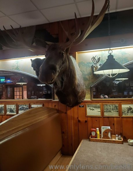 bee88i pornstar nice pic