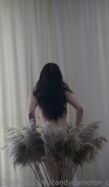 candycameron private naked pornstar picture