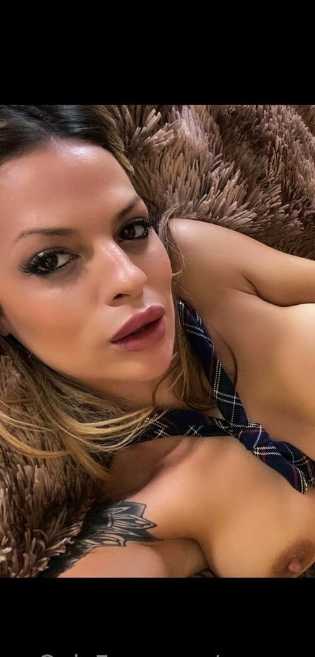 suarars exclusive star gallery