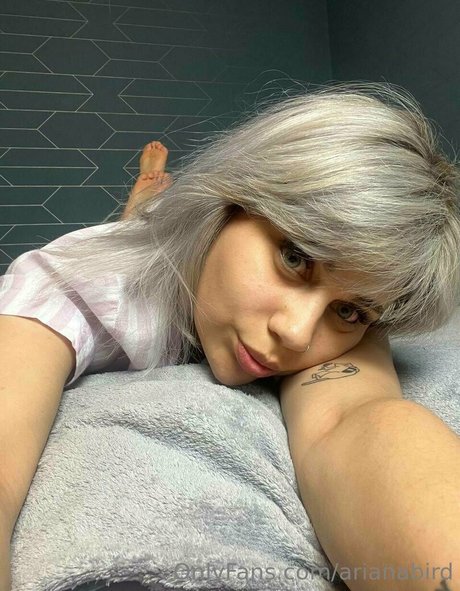 arianabird pornstar beautiful pictures