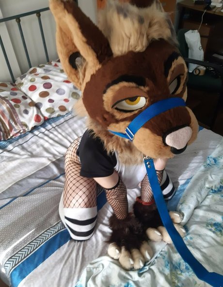 neflynxad star beautiful picture