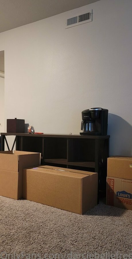 darciebellefree star high quality photos