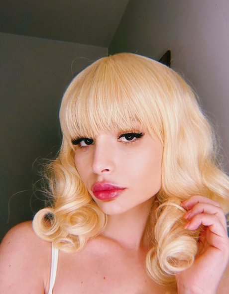 pisica free model images