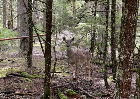 kmonogamishfree art actress pictures