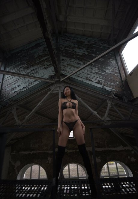 asian model high quality star pic