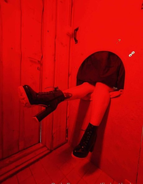 finhotbabes best star gallery