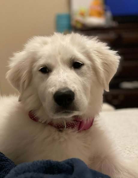 mouth onlyfans top galleries