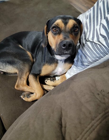 kodi salem sexy pornstar picture