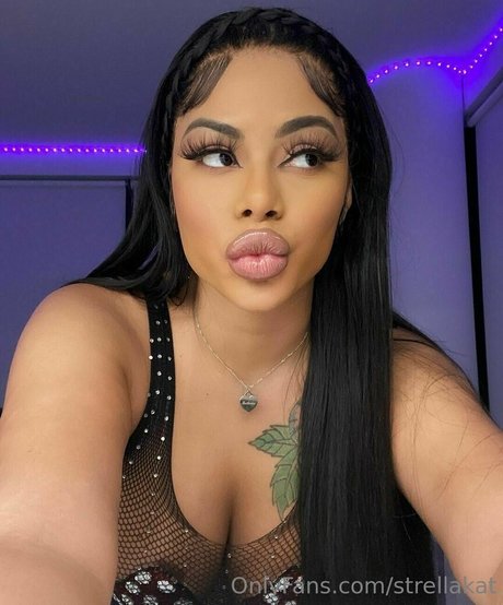 Strellakat art model picture