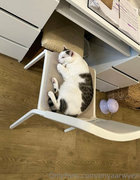 Enyaarwyen star adult archive