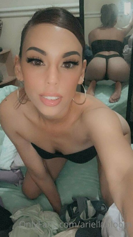 ariellabloom star erotic archive