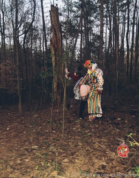 Gibbytheclown art star gallery